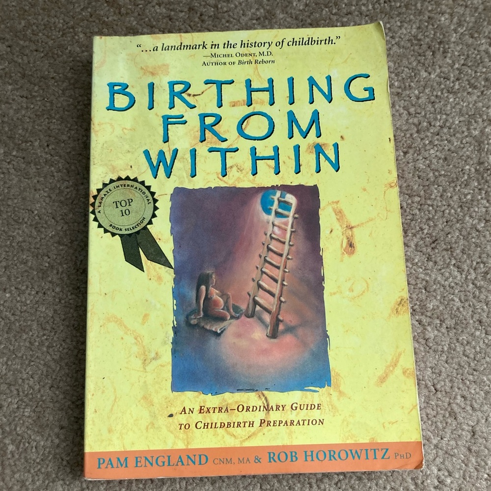 Birthing from Within book by Pam England